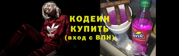 PSILOCYBIN Пересвет